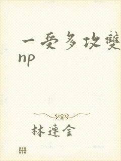 一受多攻双男主np封面
