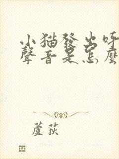 小猫发出呼呼的声音是怎么回事