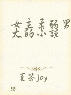 女主柔弱男主强大的小说封面