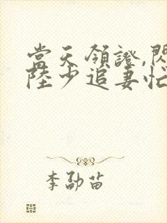 当天领证,闪婚陆少追妻忙短剧免费观看