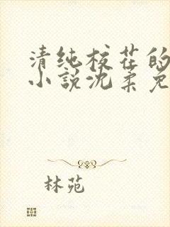 清纯校花的日常小说沈柔免费阅读