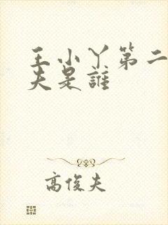 王小丫第二任丈夫是谁封面