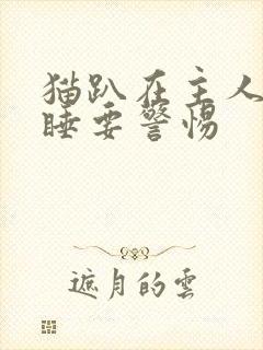 猫趴在主人胸口睡要警惕