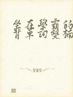 坐在学霸的棍子背单词双楠