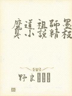 魔道祖师墨香铜臭小说精校版