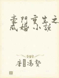 豪门重生之暖爱成婚 小说封面