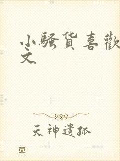 小骚货喜欢吗h文封面