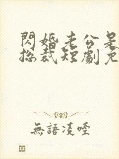 闪婚老公是亿万总裁短剧免费观看