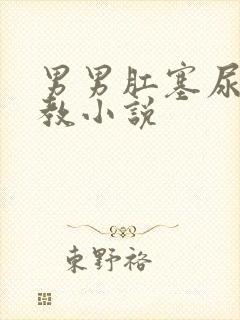 男男肛塞尿道调教小说