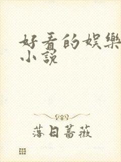 好看的娱乐圈文小说封面