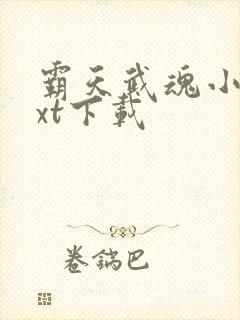 霸天武魂小说txt下载