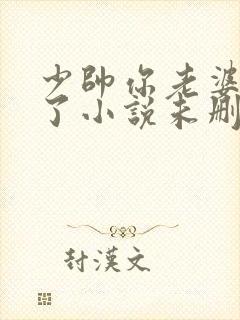 少帅你老婆又跑了小说未删版完整