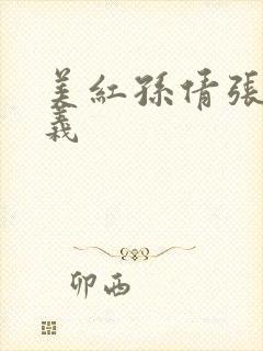 美红孙倩张敏高义封面