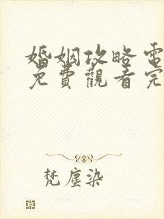 婚姻攻略电视剧免费观看完整版高清