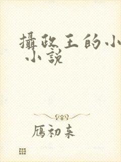 摄政王的小闲妻 小说