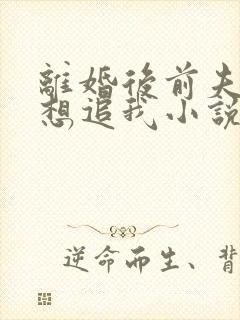 离婚后前夫总是想追我小说txt全文下载封面