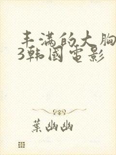 丰满的大胸女友3韩国电影封面