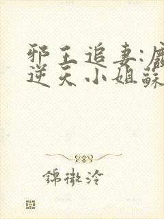 邪王追妻:废材逆天小姐苏落南宫流云