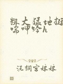 粗大猛地挺进娇喘呻吟h