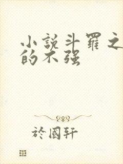 小说斗罗之我真的不强封面