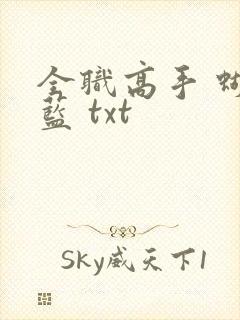 全职高手 蝴蝶蓝 txt封面