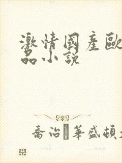 激情国产欧美精品小说封面