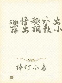 sm情趣外出裙露出调教小说封面