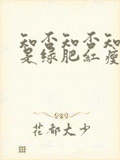 知否知否知否应是绿肥红瘦如兰