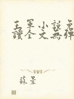 王军小说免费阅读全文无弹窗