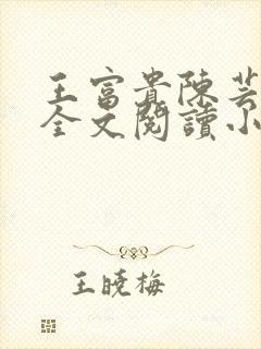 王富贵陈芸免费全文阅读小说