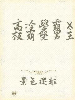 高冷学霸×霸气校霸双男主漫