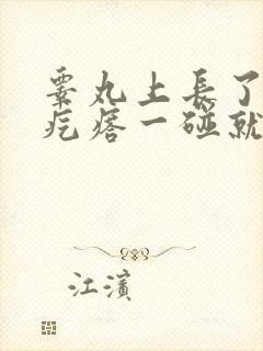 睾丸上长了一个疙瘩一碰就疼