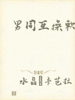 男同互操软件封面
