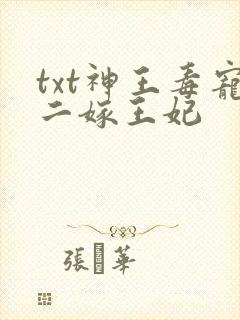 txt神王毒宠二嫁王妃