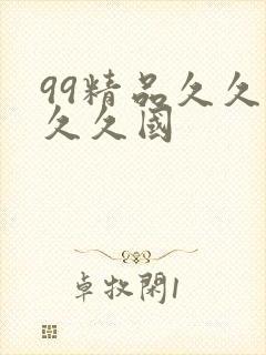 99精品久久久久久国