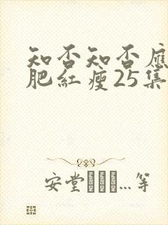 知否知否应是绿肥红瘦25集