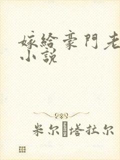 嫁给豪门老男人小说封面