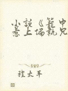 小说《笼中雀:惹上偏执兄长逃不掉》