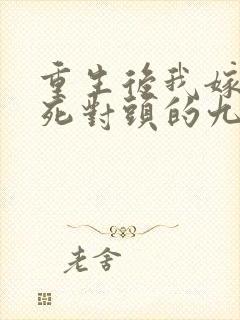 重生后我嫁给了死对头的九叔封面