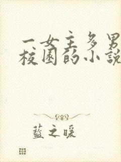 一女主多男主的校园的小说