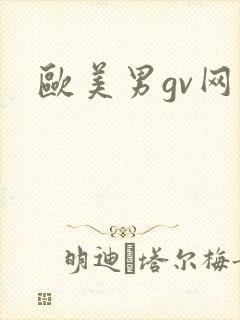 欧美男gv网站