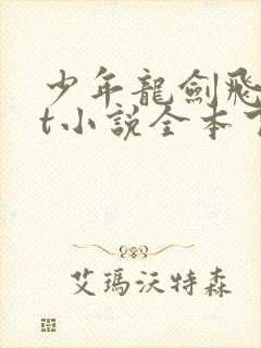 少年龙剑飞txt小说全本下载