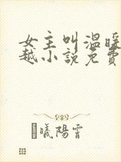 女主叫温暖的穿越小说免费阅读