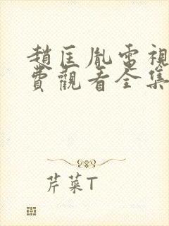 赵匡胤电视剧免费观看全集高清版