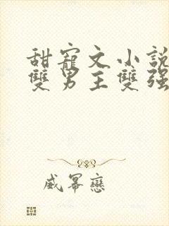 甜宠文小说推荐双男主双强封面