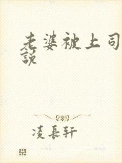 老婆被上司操小说