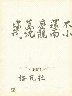 你怎么还不来哄我沈观南小说免费阅读