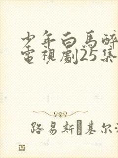 少年白马醉春风电视剧25集免费观看