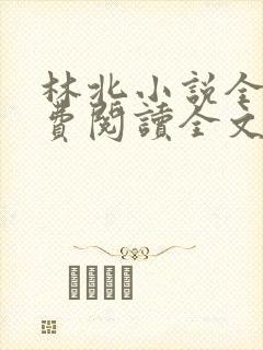 林北小说全文免费阅读全文封面