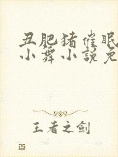 丑肥猪催眠神界小舞小说免费阅读封面